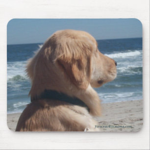 Viceroy At The Beach Mousepad