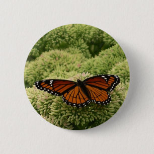 Viceroy Butterfly Beautiful Nature Photography 6 Cm Round Badge