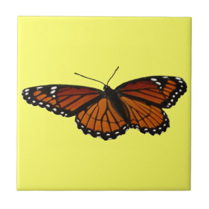 Viceroy Butterfly Beautiful Nature Photography Ceramic Tile