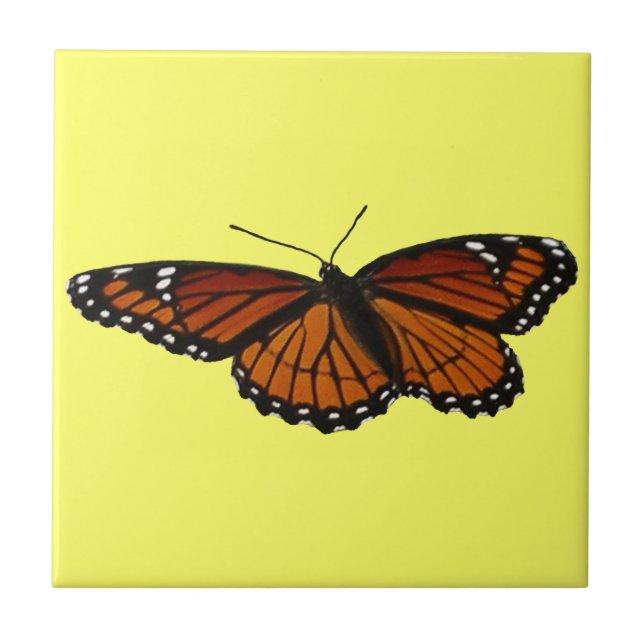 Viceroy Butterfly Beautiful Nature Photography Ceramic Tile (Front)