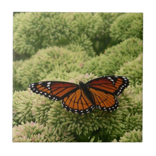 Viceroy Butterfly Beautiful Nature Photography Ceramic Tile