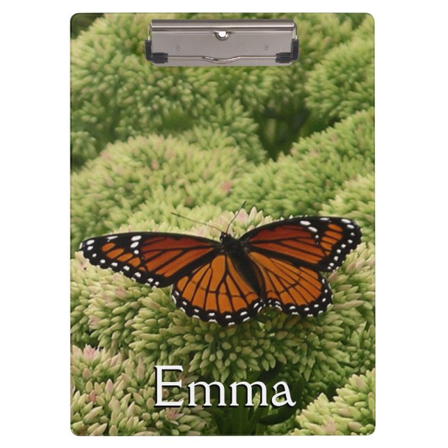 Viceroy Butterfly Beautiful Nature Photography Clipboard (Front)