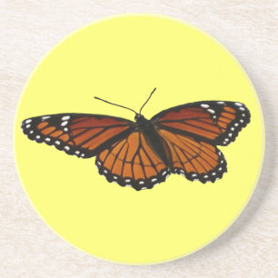 Viceroy Butterfly Beautiful Nature Photography Coaster