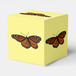 Viceroy Butterfly Beautiful Nature Photography Favour Box