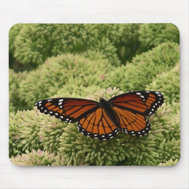 Viceroy Butterfly Beautiful Nature Photography Mouse Pad (Front)