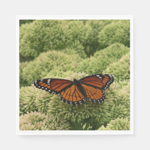 Viceroy Butterfly Beautiful Nature Photography Napkin