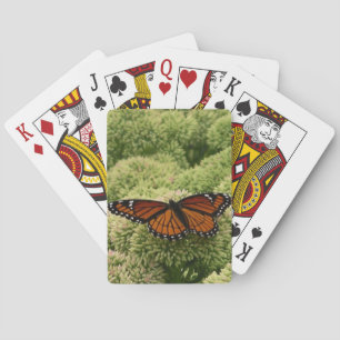 Viceroy Butterfly Beautiful Nature Photography Playing Cards