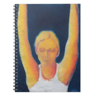 Victor 2011 notebook