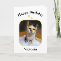 Victoria Calico Kitten Happy Birthday