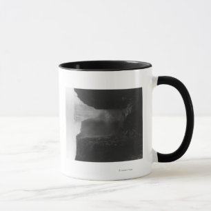 Victoria Falls in Rhodesia PhotographRhodesia Mug