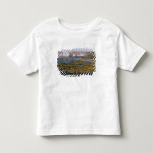 Victoria Falls, Zambesi River, Zambia - Zimbabwe 2 Toddler T-Shirt