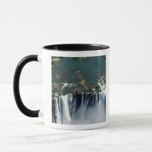 Victoria Falls, Zambia to Zimbabwe border. The Mug