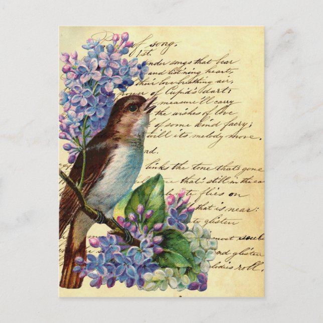 Victorian Bird and Typography I Postcard (Front)