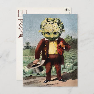 Victorian Cabbage Head Postcard