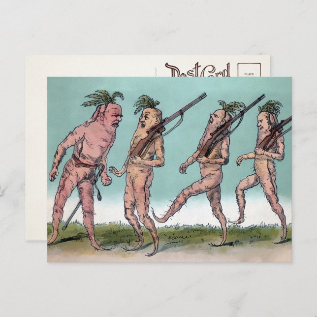 Victorian Carrot Army Postcard  (Front/Back)