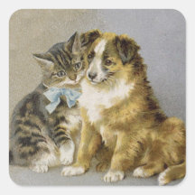 Victorian cat and dog intimate friendship