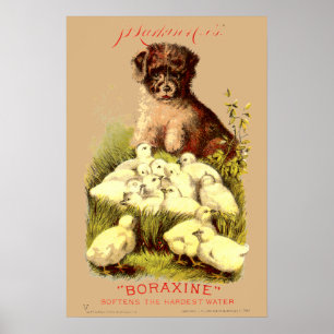 Victorian Era Puppy & Baby Chicks Soap Ad Poster
