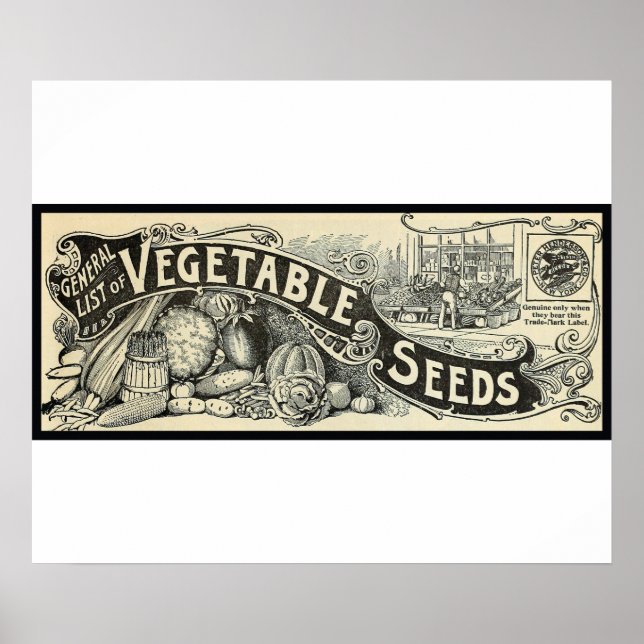 Victorian Era Vegetable Seeds Poster (Front)