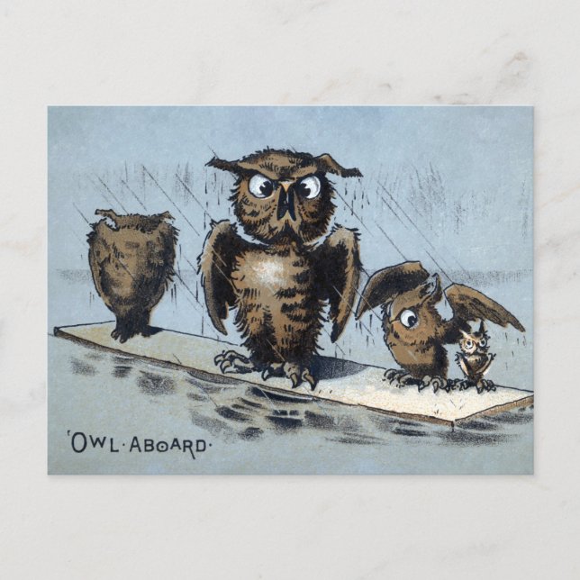 Victorian Floating Owls Postcard  (Front)