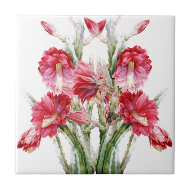 Victorian Flowering Cactus Pink Green Ceramic Tile (Front)