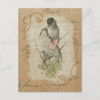 Victorian French Love Birds Love Song Postcard