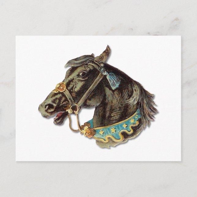Victorian Horse Postcard