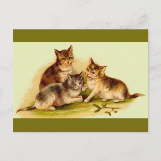 Victorian kittens postcard (Front)