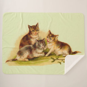 Victorian kittens sherpa blanket