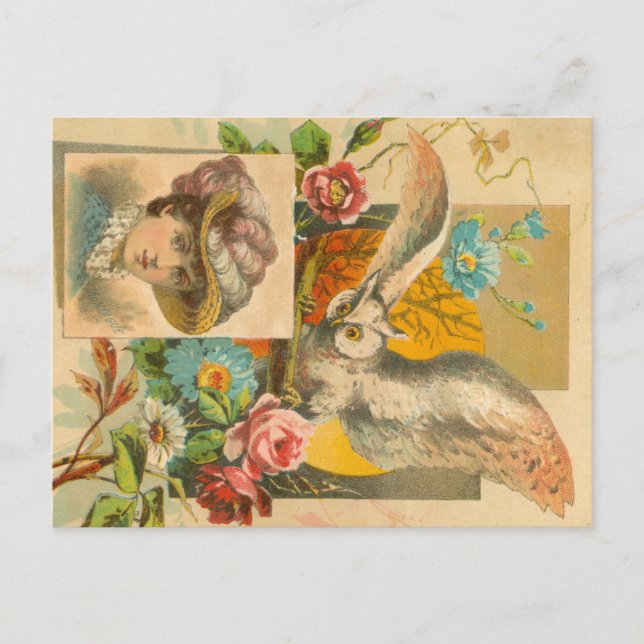 Victorian Owl Postcard (Front)