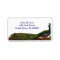 Victorian Peacock Address Labels Template