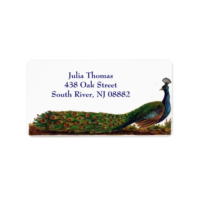 Victorian Peacock Address Labels Template (Front)