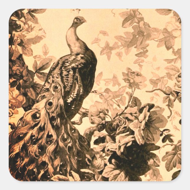 Victorian peacock floral elegant toile pattern  square sticker (Front)