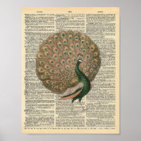 Victorian peacock vintage dictionary page