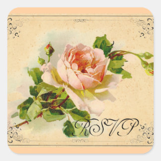 Victorian Pink Rose Square Sticker
