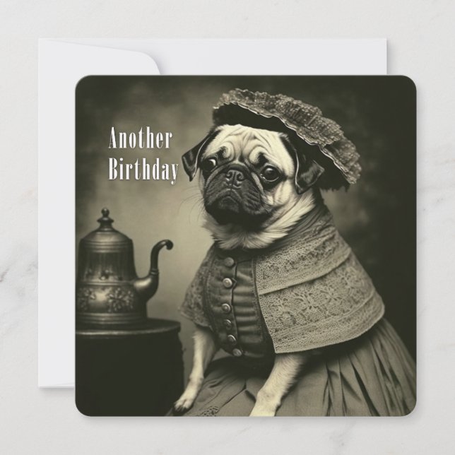 Victorian Pug Birthday Card - Funny picture of Pug (Front)