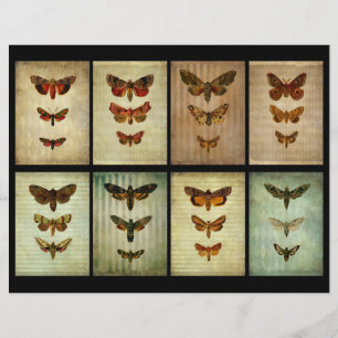 Victorian Style Moth ATC Scrapbook Cards