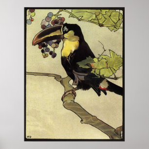 Victorian Toucan Poster