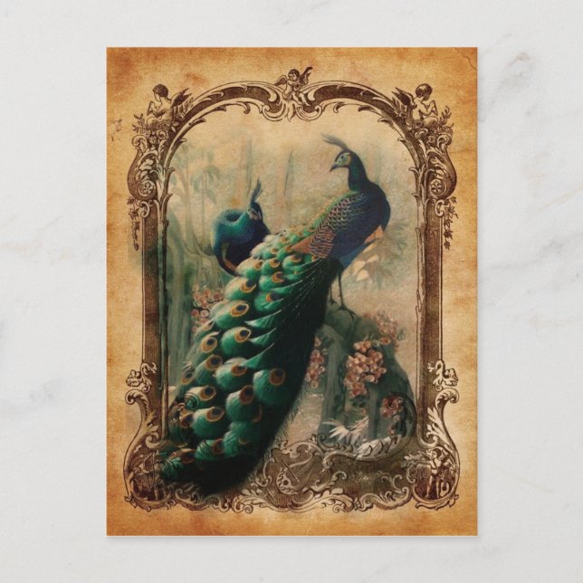 victorian vintage floral parisian peacock postcard (Front)