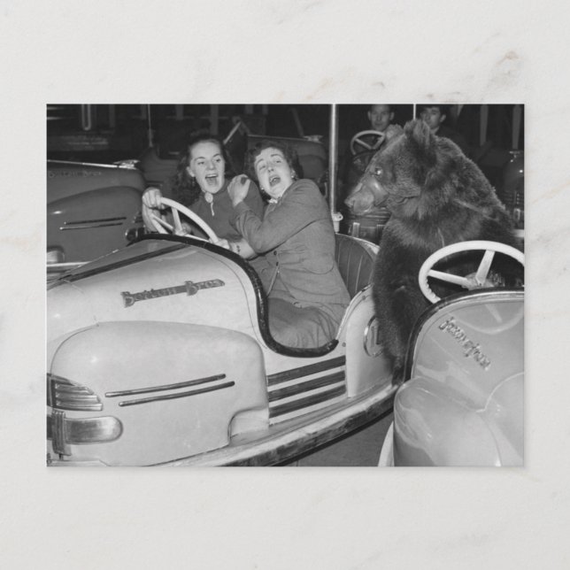 Victorian Weird a Bear Riding Bumper Cars Postcard (Front)