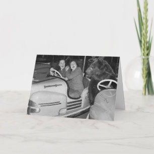 Victorian Weird a Bear Riding Bumper Cars Postcard