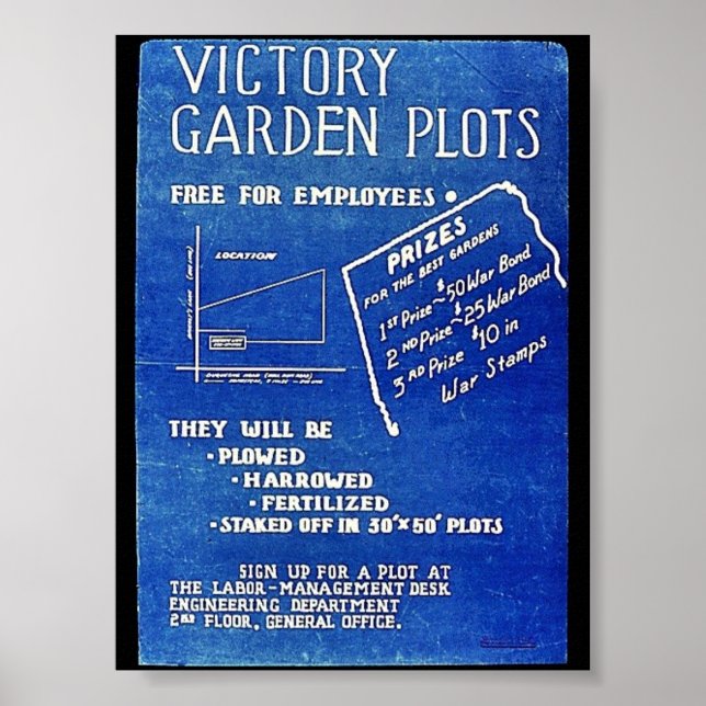 Victory Garden Plots, Free For Employees Poster (Front)