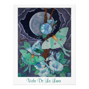 Vida de la Luna Photo Print