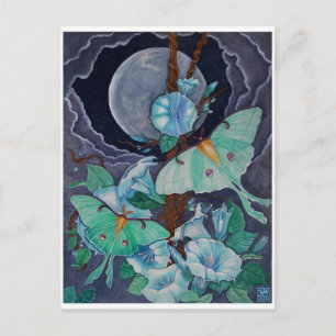 Vida de la Luna Postcard