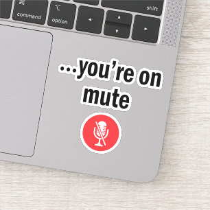 Video Call, You’re on mute, You’re on mute