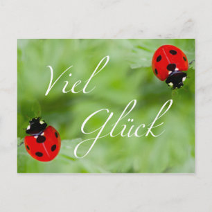 Viel Glück im Doppelpack! Postcard