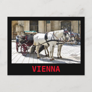 Vienna Fiaker with White Horses - Postcard