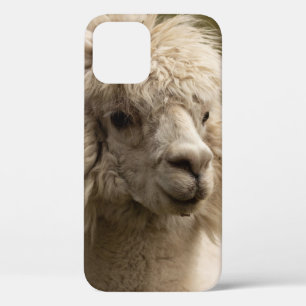 VIENNA WIEN ÖSTERREICH AUSTRIA ALPAKA LAMA ANIMAL iPhone 12 CASE
