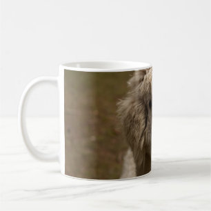 VIENNA WIEN ÖSTERREICH AUSTRIA ALPAKA LAMA ANIMAL COFFEE MUG