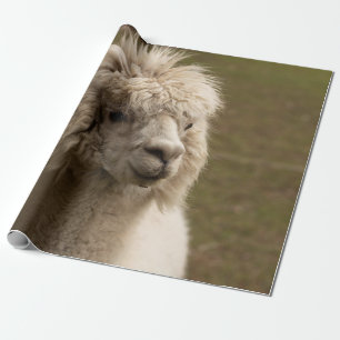 VIENNA WIEN ÖSTERREICH AUSTRIA ALPAKA LAMA ANIMAL  WRAPPING PAPER
