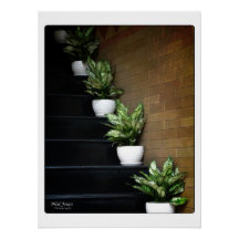 Vietnam Asia Street Photography